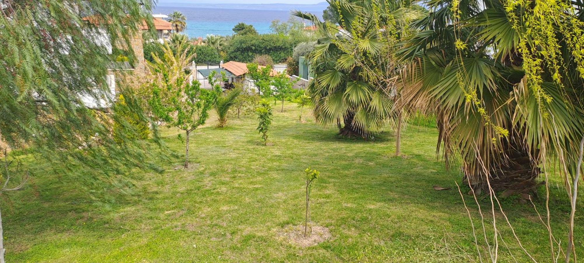 Villa Helga Exotic Pefkochori Exteriér fotografie
